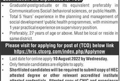Chip Training And Consultant Pvt Ltd Jobs